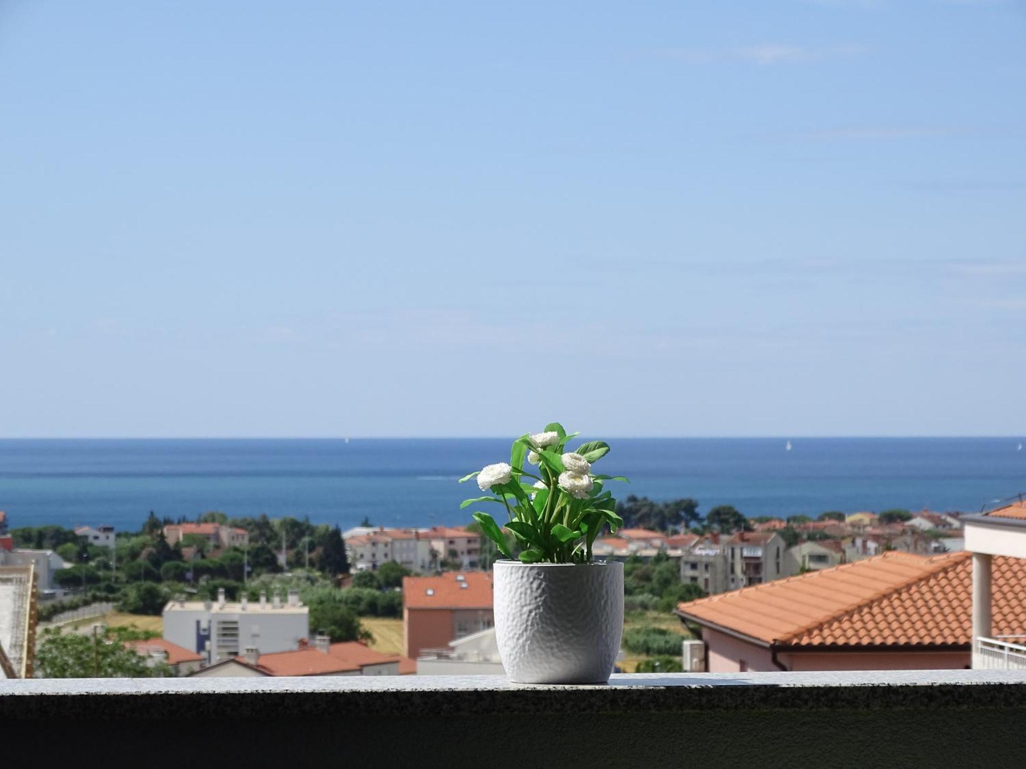 Apartment Bellavista Novigrad Istria Exteriör bild